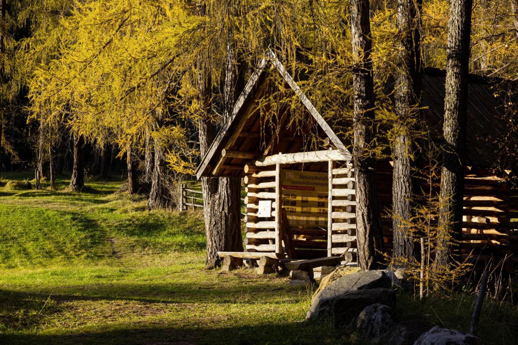 Haus Miriam Lägenhet Mieming Exteriör bild